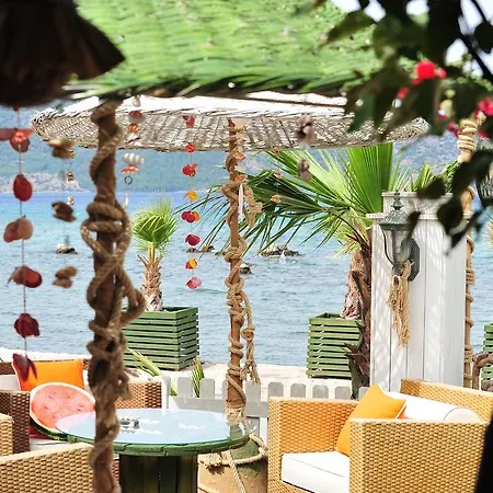 Homestay szállás Adasu