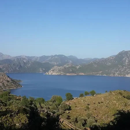 Adasu