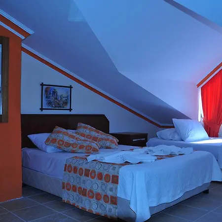 Homestay Adasu