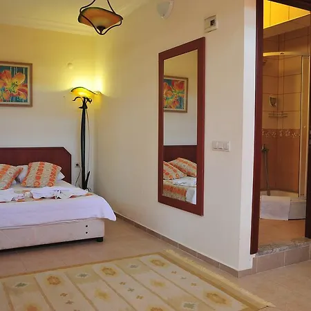 Homestay Adasu *