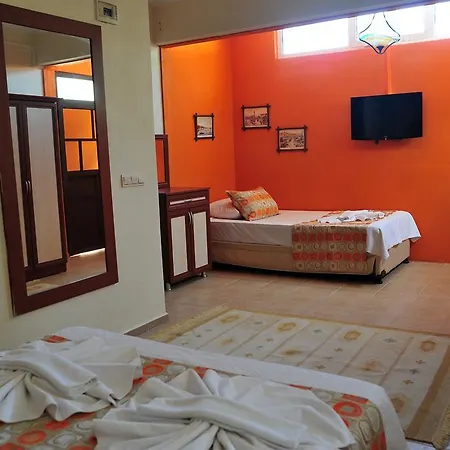 Adasu Homestay *